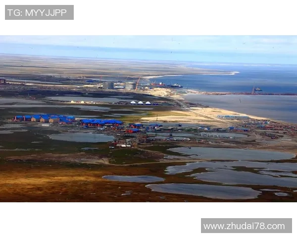 亚马尔地区的能源战略与全球气候变化的互动分析与展望